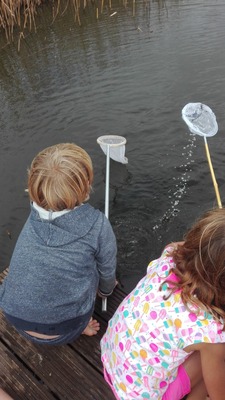 Rangerkamp 8-12 augustus 2016