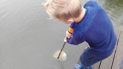 Rangerkampen zomer 2017