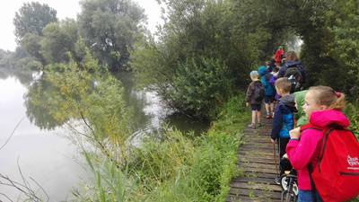 Rangerkampen zomer 2017