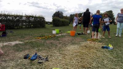 Rangerkampen zomer 2017