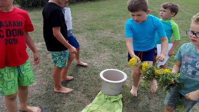 Rangerkampen zomer 2017