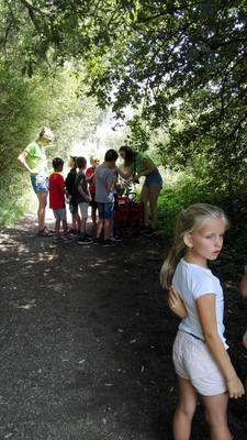 Rangerkampen zomer 2017