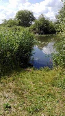 Rangerkampen zomer 2017