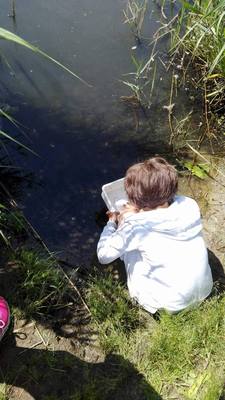 Rangerkampen zomer 2017