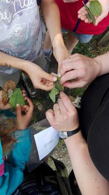 Rangerkampen zomer 2017