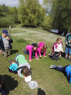 Rangerkamp Pasen 2017