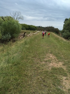 Rangerkamp 11-15 juli 2016