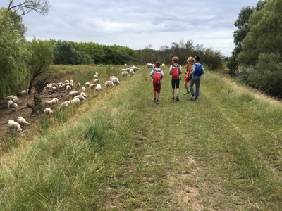 Rangerkamp 11-15 juli 2016