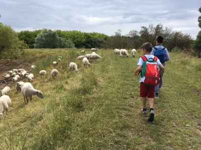 Rangerkamp 11-15 juli 2016