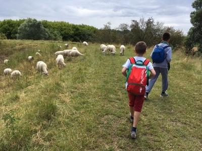 Rangerkamp 11-15 juli 2016