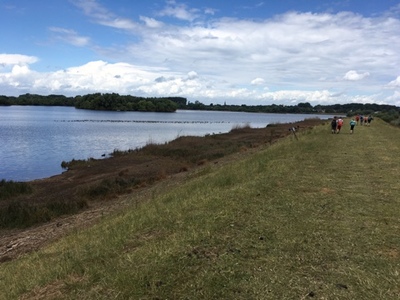 Rangerkamp 11-15 juli 2016