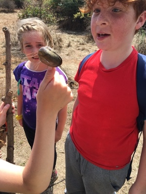 Rangerkamp 11-15 juli 2016