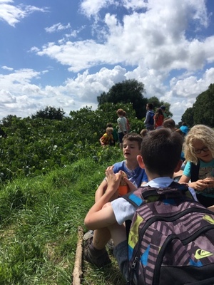 Rangerkamp 11-15 juli 2016