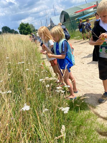 Rangerkamp 5-9 juli 2021