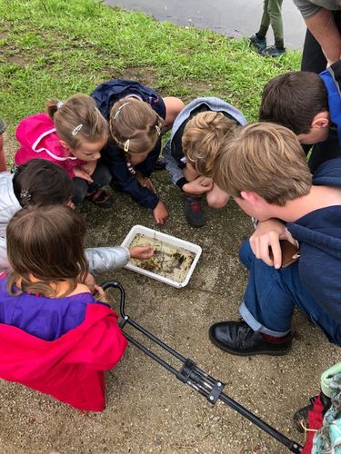 Rangerkamp 12-16 juli en 19-23 juli