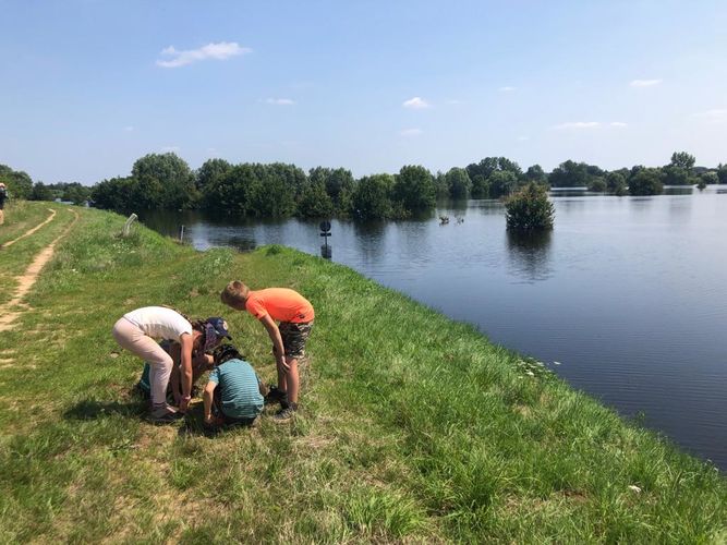 Rangerkamp 12-16 juli en 19-23 juli