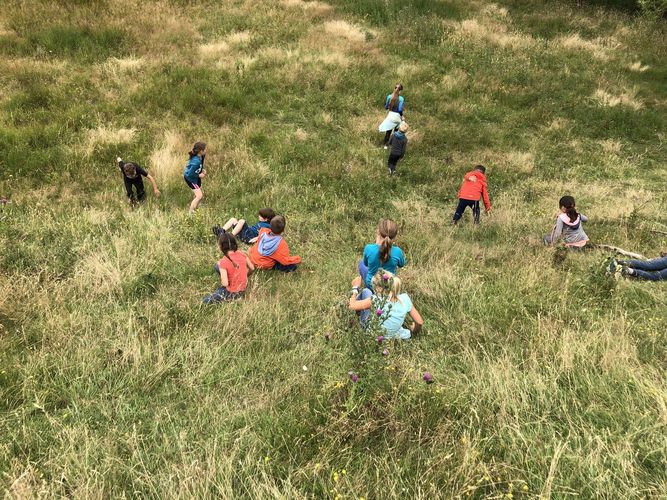 Rangerkamp 15-19 juli 2019