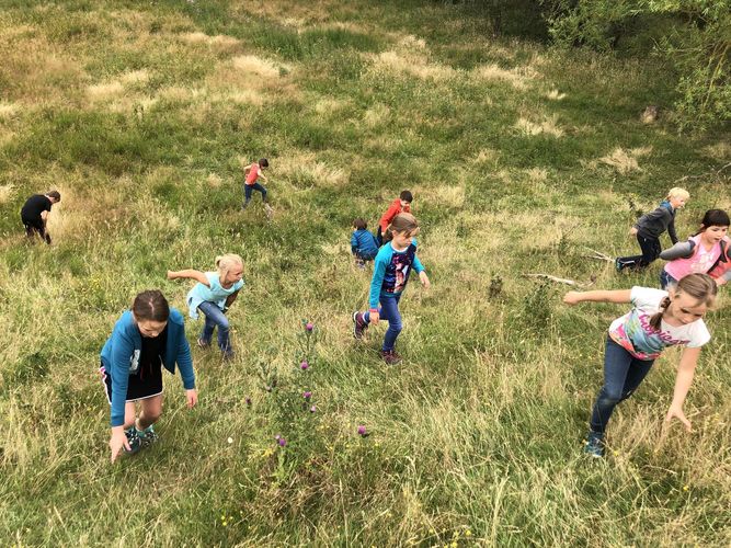 Rangerkamp 15-19 juli 2019