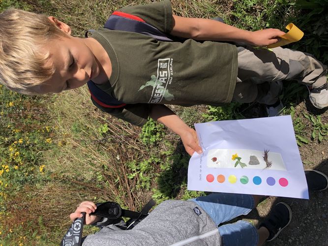 Rangerkamp 12-16 augustus 2019