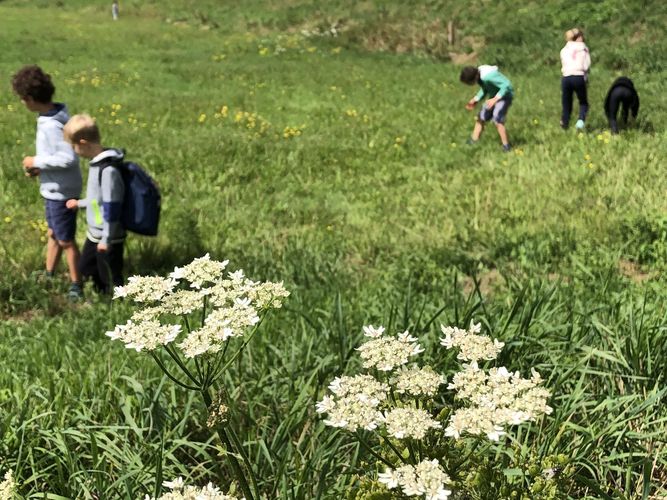 Rangerkamp 12-16 augustus 2019