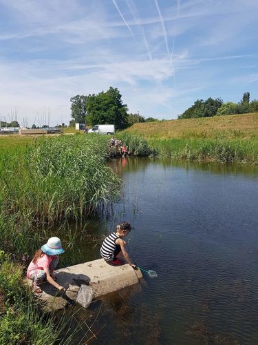 Bezige Bevertjeskamp 22-26 juli 2019