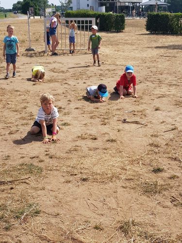 Bezige Bevertjeskamp 22-26 juli 2019