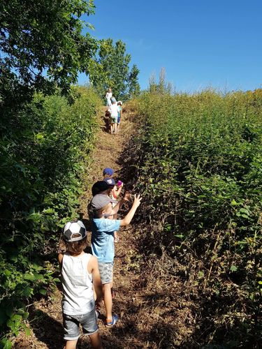 Bezige Bevertjeskamp 22-26 juli 2019