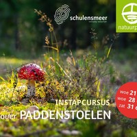 Cursus Weetjes en verhalen over paddenstoelen (3 sessies) - Sessie 1 Cursus Weetjes en verhalen over paddenstoelen (3 sessies) - Sessie 1