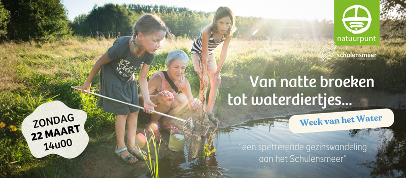 Van natte broeken tot waterbeestjes: een spetterende gezinswandeling aan het Schulensmeer
