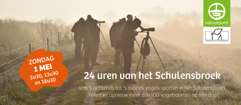 24-uur vogels spotten in het Schulensbroek