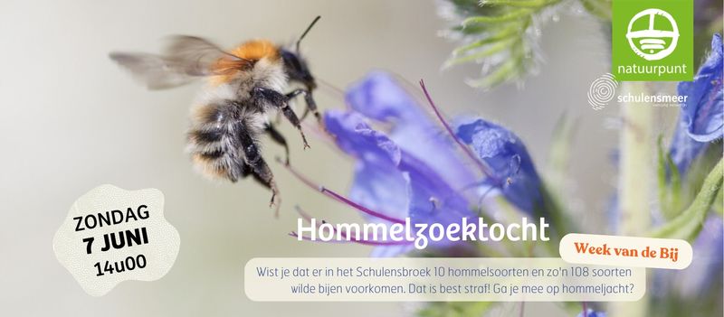 Hommelwandeling Schulensmeer en Schulensbroek