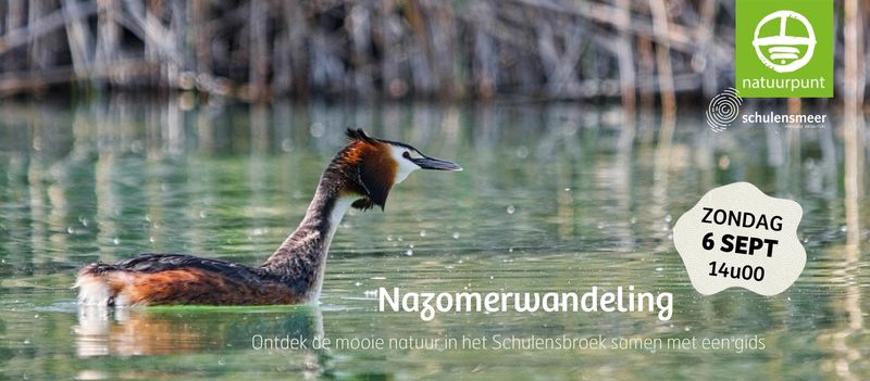 Nazomeren in het Schulensbroek
