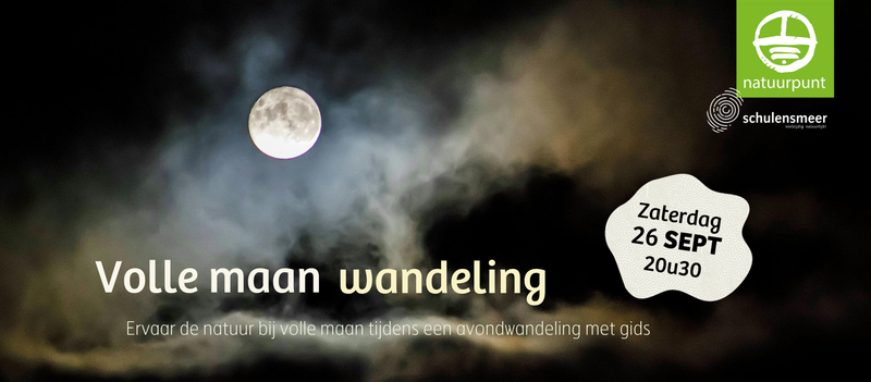 Volle maan wandeling | Op pad met een gids in het Schulensbroek