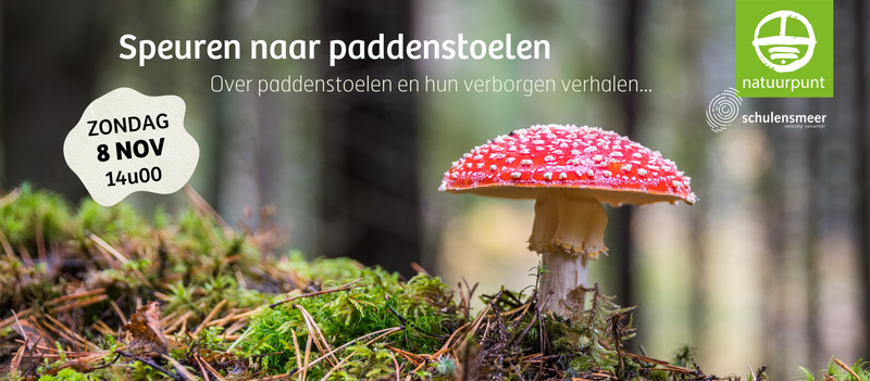 Speuren naar paddenstoelen