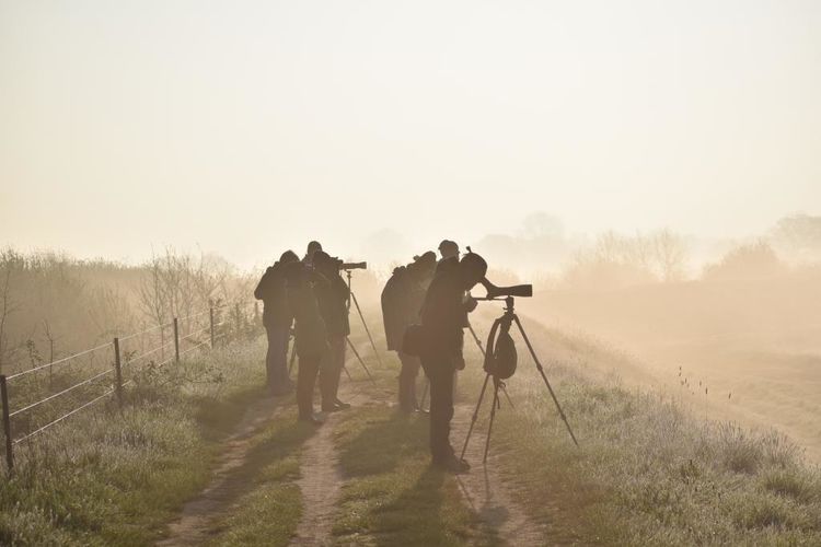 24 uren vogels spotten