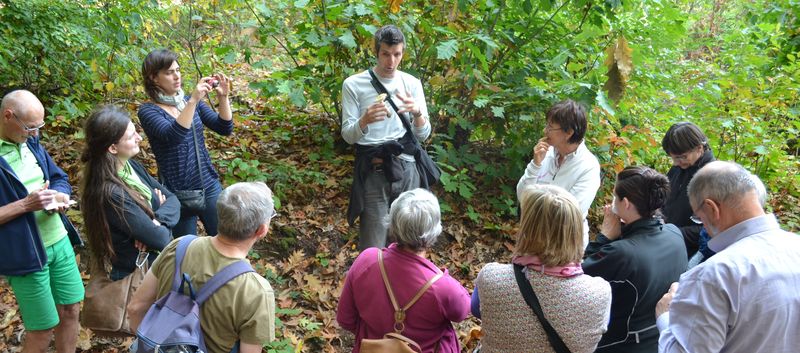Sagen- en legendenwandeling Sagen- en legendenwandeling