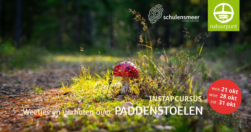 Cursus Weetjes en verhalen over paddenstoelen (3 sessies) - Sessie 3