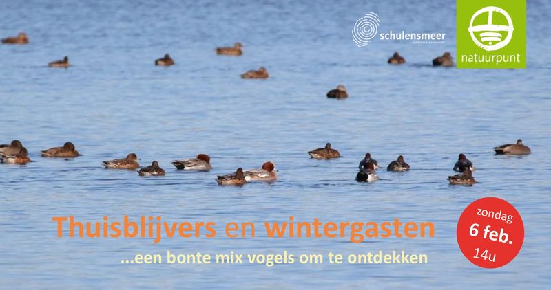 Thuisblijvers & wintergasten Thuisblijvers & wintergasten