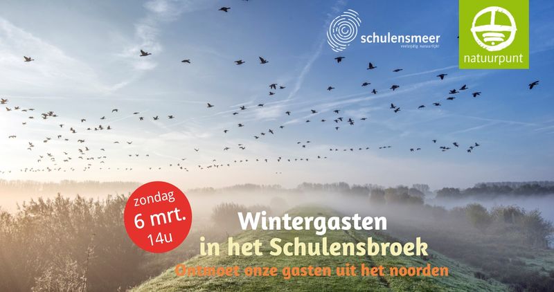 Wintergasten in Schulensbroek Wintergasten in Schulensbroek