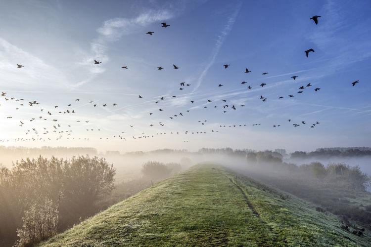 24 uren vogels spotten