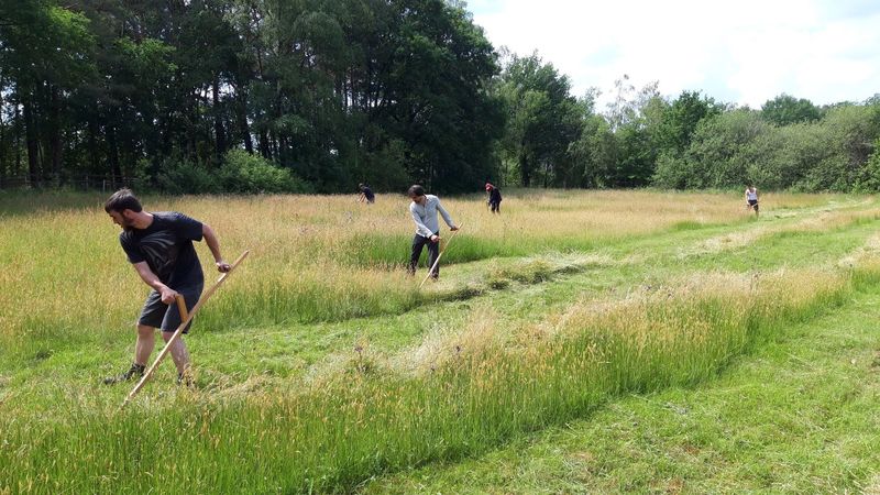 Cursus: leren werken met de zeis