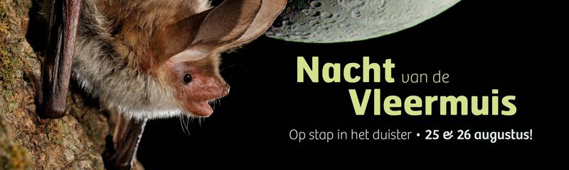 Nacht van de vleermuis Nacht van de vleermuis