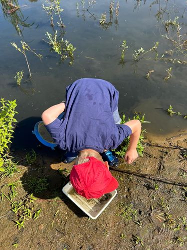 Op kamp aan het Schulensmeer