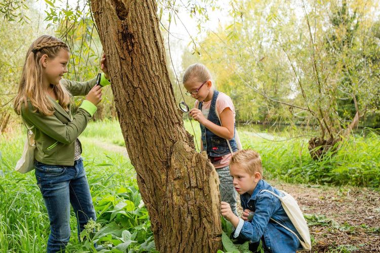 Cursus | Gidsen van kinderen (vanaf 6 november)