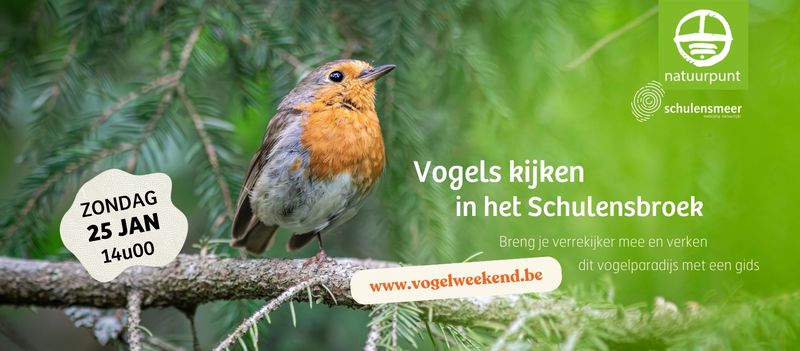 VOGELWEEKEND | Vogels kijken in het Schulensbroek