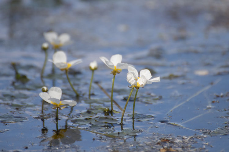 START 3 MEI | cursus natuurfotografie voor groentjes