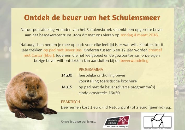 Maak kennis met onze bever