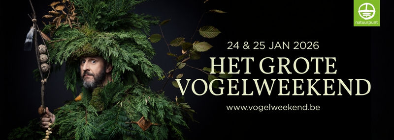 VOGELWEEKEND | Vogels kijken in het Schulensbroek