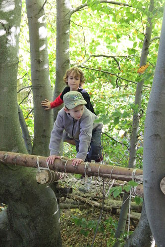 Cursus | Gidsen van kinderen (vanaf 6 november)