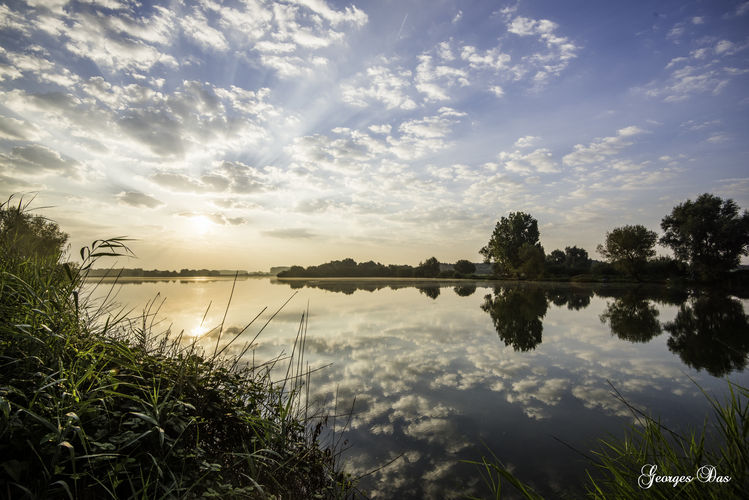 Wintergasten in Schulensbroek - 1 maart 2020